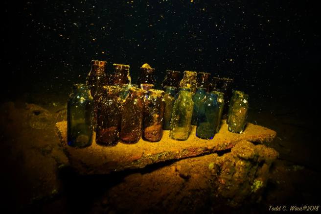 27993039_10159791068755136_6988583941662061644_o