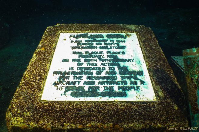 28061695_10159791083760136_47266083476646896_o