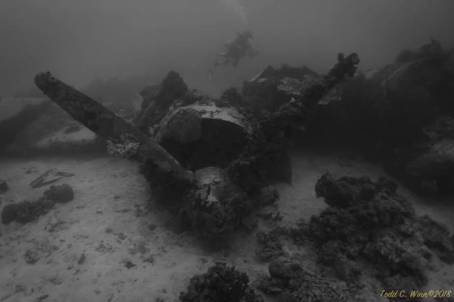 28071311_10159791068735136_6983784910888519163_o