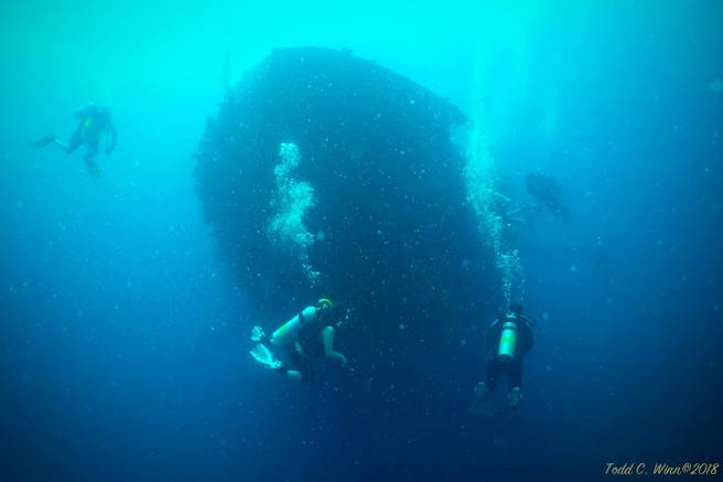 28162142_10159791071040136_1366402565273134889_o