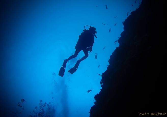 24173478_10159426937660136_5576576937153088956_o